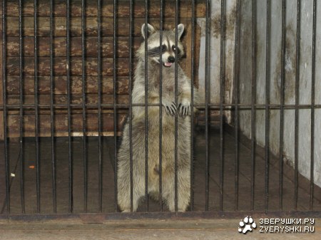 ���� ���, � �� ���� ����� �������� :)