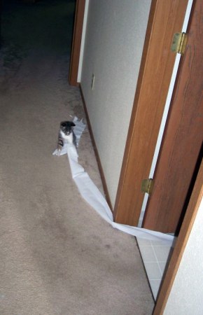 ��������� ����� ;)