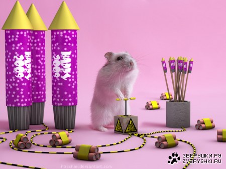 �����-��������� ;)