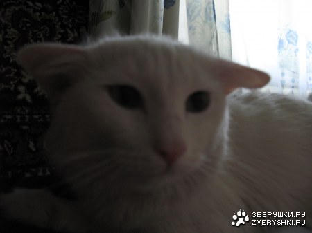 ����� ����� � ��� :)