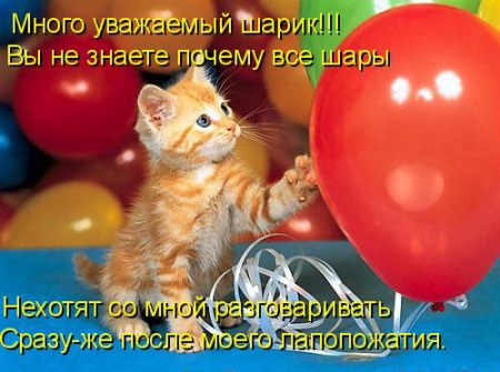 ������� � ����� :)