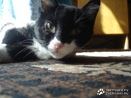 ��� �������� ����� :)