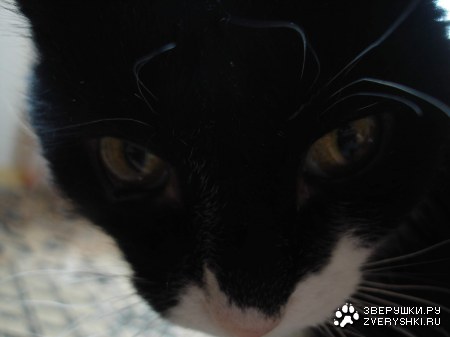 ��� �������� ����� :)