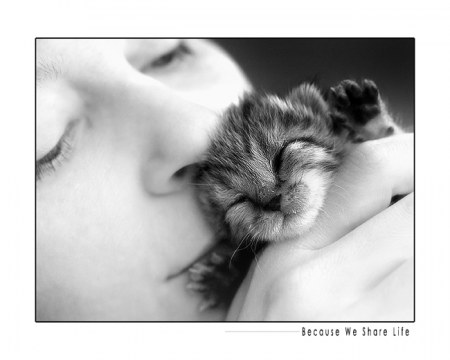 ������ � ������� :)