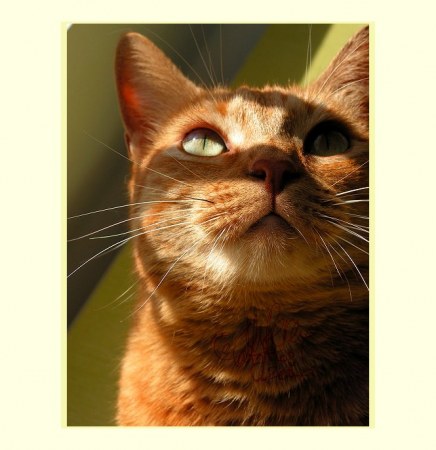 ������ � ������� :)