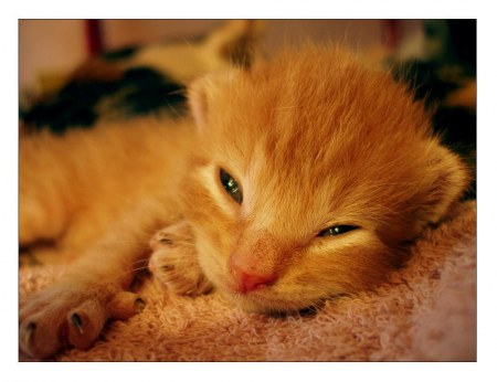 ������ � ������� :)