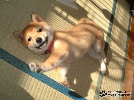 �������� ��� ����������! :)