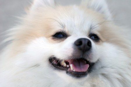 ��������� �������� :)