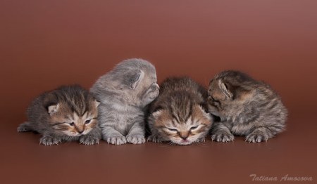 ������������� ������ :)