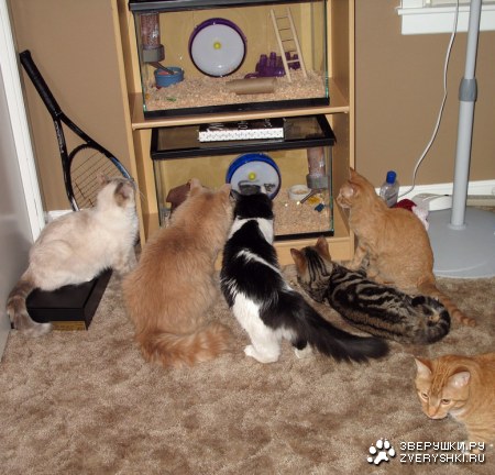 ��� ��� ����� ;)