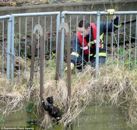 ��������������� ������� (7 ����)