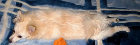 ��� �������!