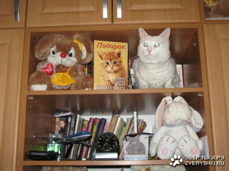 ����� ���� :)