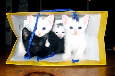 ������� ������ :)