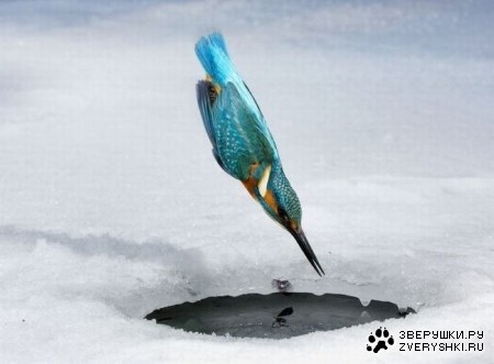 ������������! :)