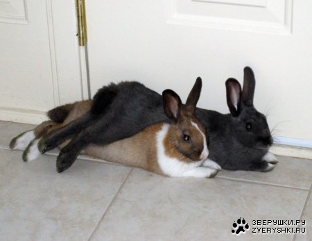 ��������� ��� ���� :)