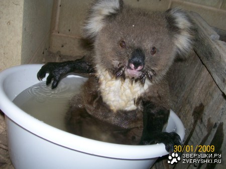 �������� ������ ��������! (5 �������� ����)