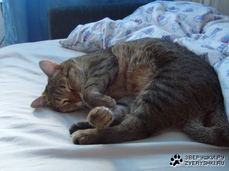 ��������� :)