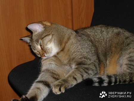 ��������� :)