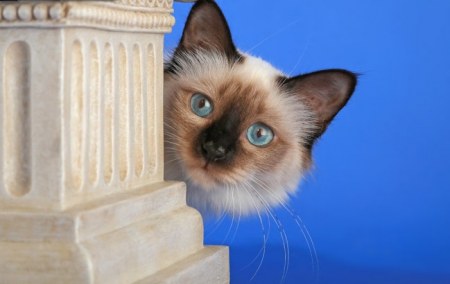 ������� � ������ (23 ����)