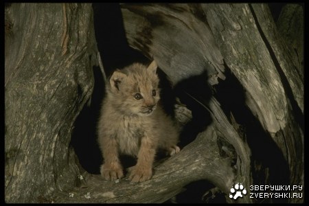 ������ ;)