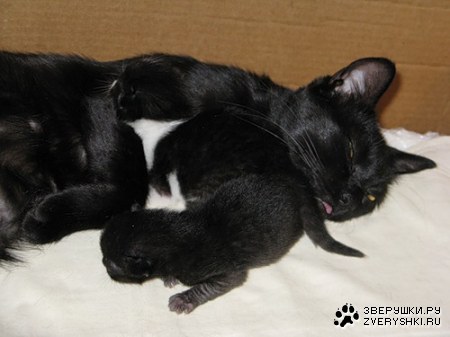 ������� :)