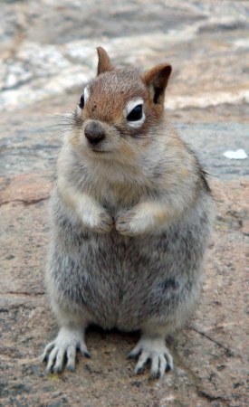 ���������� ��� ������� ������! :)