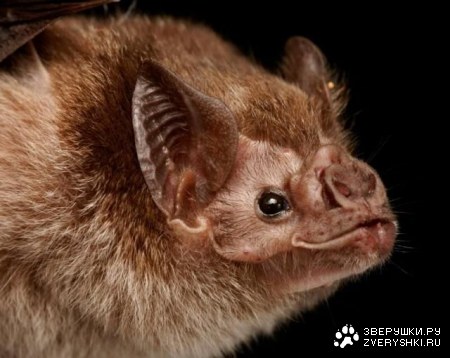 ������� ���� �� ���� ����� :)