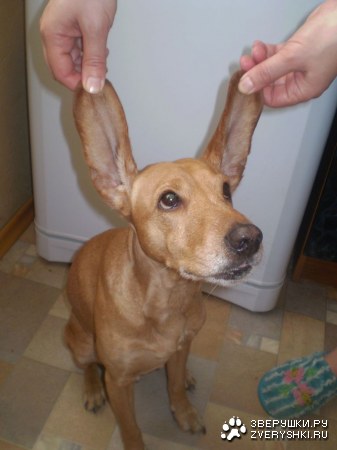 ��� ������, �� ������� ��! :)