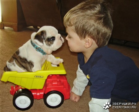 �������� ;)