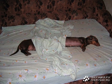 ��� ��� ������� :)