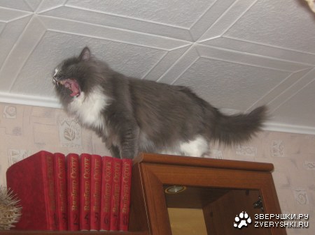 ������� ����� :)