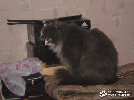 ������� ����� :)