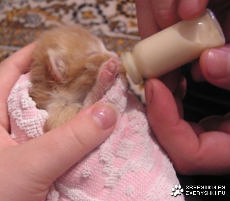 ����� ����� ������ �� ����� :)