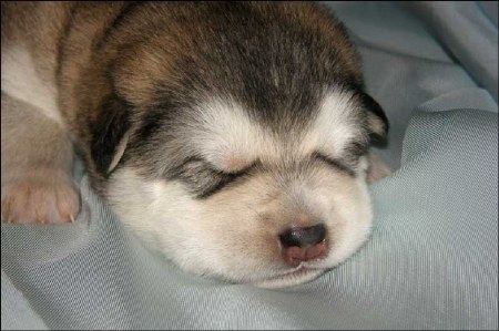 ����� (3 ����������)