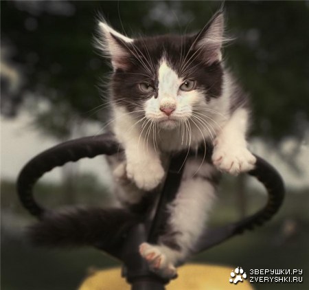 ���������� �� �������? ;)