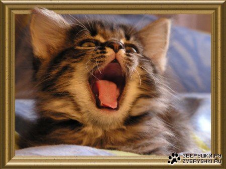 ���������, ���������... :)