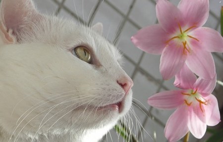 ������ � ���� :)