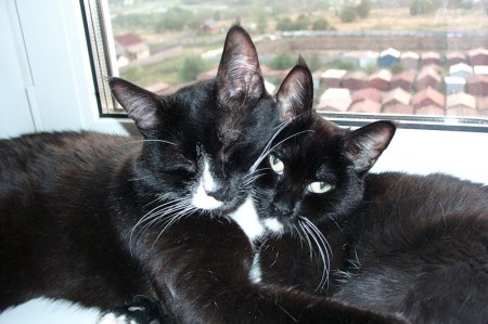 ������ � ����� (8 ����������)