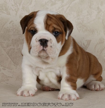 16 �������� ����������!