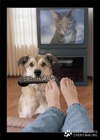 �������� ���������� :)