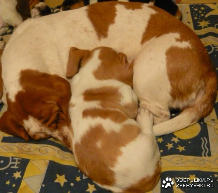 ����� ������ ����� :)