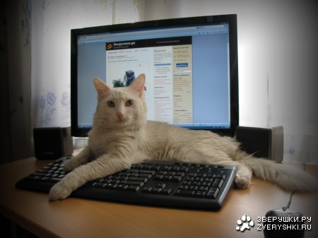 ����� - ����������� ������������ :)