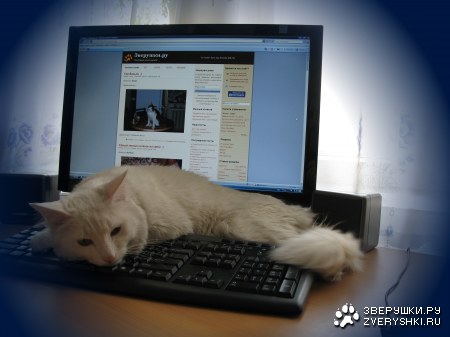 ����� - ����������� ������������ :)