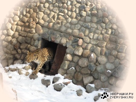 �������� � ����������� ������� �� ����� (9 ����)