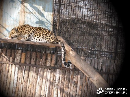 �������� � ����������� ������� �� ����� (9 ����)