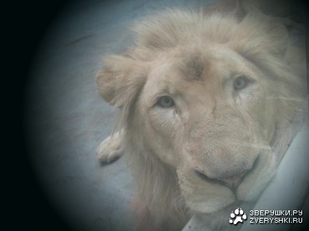 �������� � ����������� ������� �� ����� (9 ����)