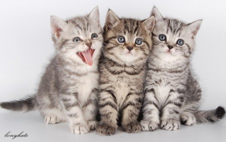 ��������� ���� �����! :)