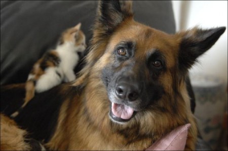 ������� :)