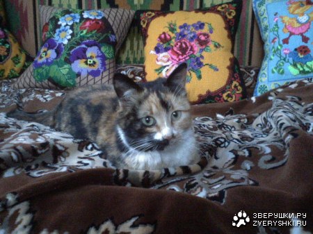 �������� � �����������... :)